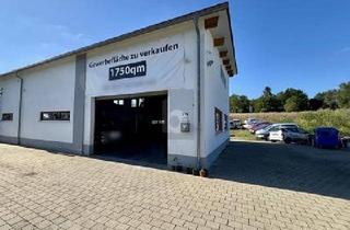 Gewerbeimmobilie kaufen in 78658 Zimmern, Zimmern ob Rottweil - RAUM FÜR AUTOTRÄUME WACHSTUM UND VISIONEN!