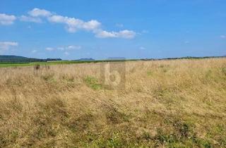 Grundstück zu kaufen in 54534 Großlittgen, Großlittgen - IHR WEG ZUM EIGENHEIM IN IDYLLISCHER EIFFELLAGE