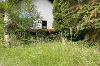 Einfamilienhaus kaufen in 54675 Mettendorf, Mettendorf - Grundstück mit freistehenden Haus in Niedersgegen