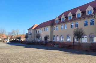 Wohnung mieten in Straße Des Friedens 14, 06772 Zschornewitz, **großzügige 2-Raum Wohnung mit Terrasse im EG**