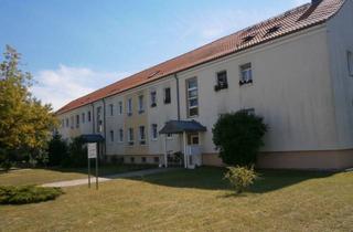 Wohnung mieten in Ernst-Thälmann-Str. 25, 15320 Neuhardenberg, 2-Raumwohnung in Neuhardenberg