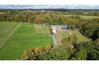 Haus kaufen in Tränke 310, 06493 Dankerode, Eine kleine Ranch"Zechenhaus" in Alleinlage im Harz-11.510 m²+ Wohnhaus+ Ferienwohnung+ Pferdestal