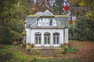 Villa kaufen in 52076 Aachen, Einmalige Gelegenheit! Denkmalgeschützte Villa in Alleinlage