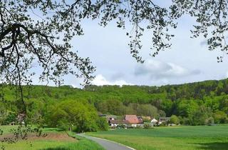 Grundstück zu kaufen in Ernhofen, 91227 Leinburg, RUHIGE LAGE LEINBURG/ERNHOFEN: GROSSES BAUGRUNDSTÜCK FÜR EFH UND DHH NAHE AB-AUSFAHRT ALTDORF