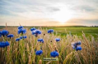 Grundstück zu kaufen in An Der B 2, 04523 Pegau, Land- und Waldfläche