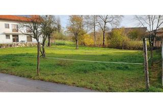 Grundstück zu kaufen in Hintsberg, 85643 Steinhöring, Baugrundstück mit ca. 427 m² für eine Doppelhaushälfte in Hintsberg-Steinhöring zu verkaufen