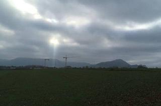 Haus kaufen in 73230 Kirchheim, Kirchheim unter Teck - Neubau mit Blick auf Burg Teck