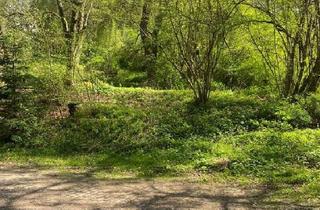 Haus kaufen in 93173 Wenzenbach, Wenzenbach - Schnäppchenhaus mit eigenem Wald und Bachlauf!