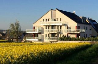 Wohnung mieten in 58239 Schwerte, Schwerte-Wandhofen: Barrierefrei Wohnen mit toller Aussicht