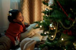 Haus kaufen in 01833 Dürrröhrsdorf-Dittersbach, Weihnachten in den eigenen 4 Wänden