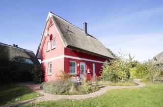 Haus kaufen in 18569 Neuenkirchen, Wunderschönes Ferienhaus nahe Boutique Hafen Vieregge und Breetzer Bodden