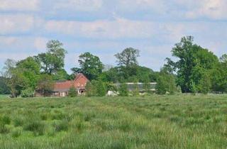 Bauernhaus kaufen in 27628 Hagen, Bauernhof in Offenwarden