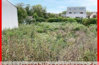 Grundstück zu kaufen in 75443 Ötisheim, In herrlicher Weinberglandschaft bauen!