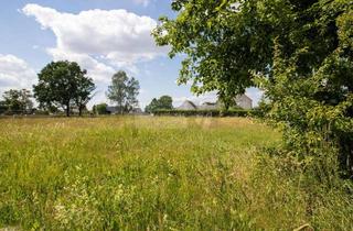 Grundstück zu kaufen in 06925 Groß Naundorf, IHR TRAUM IN ZAUBERHAFTER WALDRANDLAGE