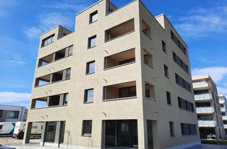 Penthouse mieten in Otto-Boll-Straße, 79576 Weil am Rhein, Exklusive 3-Zimmer-Penthouse-Wohnung, geh. Innenausstattung, EBK und Dachterrasse in Weil am Rhein