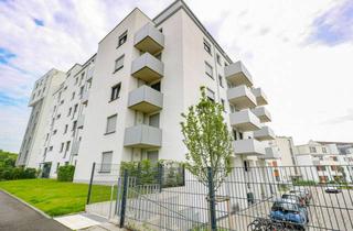 Wohnung mieten in Niederkasseler Straße 99, 53225 Beuel, Schön geschnittene 1-Zi-Wohnung auf 35m² inkl. Balkon und EBK! *Voll Möbliert!*