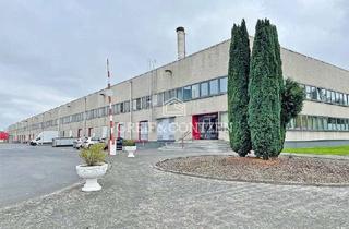 Büro zu mieten in 50169 Kerpen, Cross-Dock-Lager | 30 Rampen | Sprinkleranlage | Büroflächen