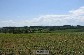 Grundstück zu kaufen in Waldower Straße, 15913 Märkische Heide, Unbebaute großflächige landwirtschaftliche Fläche