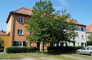 Wohnung mieten in Neue Kirschallee, 14469 Bornstedt, Sehr schöne und ruhige 2-Zimmer-Wohnung mit Einbauküche und Südwest-Balkon