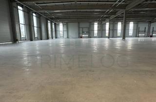 Gewerbeimmobilie mieten in 64584 Biebesheim, ** Ca. 8.500 m² Lagerfläche | 13,00 m UKB | 4 x ebenerdig, 5 x Rampe **