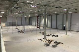 Gewerbeimmobilie mieten in 76661 Philippsburg, ** PROVISIONSFREI | ca. 50.000 m² Lager- / Logistikfläche | 40x Rampen **