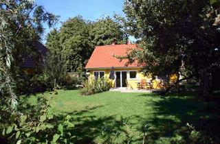 Haus kaufen in 18375 Ostseebad Prerow, Gedämmtes Einfamilienholzhaus, Ferienhaus mit tollem Garten, Sauna und Holzofen