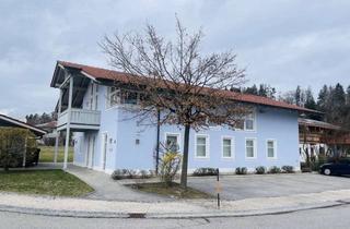 Geschäftslokal mieten in 83370 Seeon, Moderne, helle Gewerbe- / Ladenflächen mit ausreichend Parkmöglichkeiten - Nähe Kloster Seeon