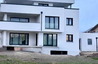 Penthouse mieten in 89165 Dietenheim, 80 m2 PenthouseWohnung mit 60 m2 Balkon