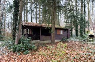 Grundstück zu kaufen in 23896 Nusse, The Weekend • Grundstück mit Jagdhütte im Naturpark Lauenburgische Seenplatte