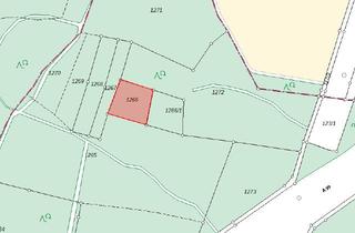 Gewerbeimmobilie kaufen in 85662 Hohenbrunn, Ein Stückchen Wald - Waldgrundstück in Hohenbrunn