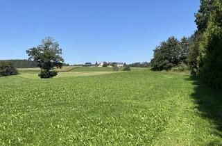 Haus kaufen in 85435 Erding, Erding - Alleinlage - über 500 m² Nutzfläche auf fast 4.000 m² Grund