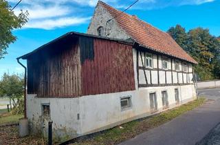 Haus kaufen in 04749 Ostrau, Ostrau - Ein Familien Haus