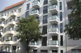 Wohnung mieten in Grüntaler Str 49a, 13359 Wedding, Dachgeschosswohnung 2 Zimmer mit Terrasse und EBK