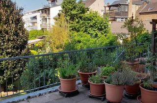 Wohnung mieten in 53225 Beuel, Schönes 1 Zimmer-Appartement mit großer Terrasse