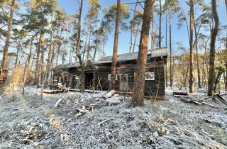 Haus kaufen in 29476 Gusborn, TinyHouse im Wald im Wendland - Tiny Haus als neues Zuhause oder Ferienhaus von 2022/23 - Glasfaser!