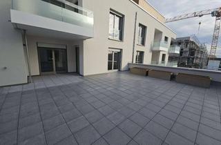 Wohnung mieten in Am Biegen 3a, 76351 Linkenheim-Hochstetten, Neubau Barrierefreie 2-Zimmer-Dachterrassenwohnung in Linkenheim-Hochstetten