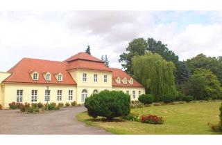 Wohnung mieten in Dorfstraße 35, 04808 Thallwitz, Wohnen wie im Märchen - Schloß Nischwitz bei Wurzen, 3 RW mit Terrasse und Stellplatz