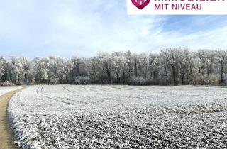 Gewerbeimmobilie kaufen in 89447 Zöschingen, 0,68 ha Ackerland in Zöschingen, 1a Lage, 1a Erträge, 1a Investment