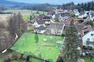 Grundstück zu kaufen in 79426 Buggingen, Bauplatz in perfekter Ortsrandlage von Buggingen