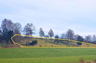 Gewerbeimmobilie kaufen in 88416 Ochsenhausen, *Streuobstwiese* mit einem Holzlagerschuppen zwischen BC und Ochsenhausen