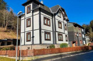 Mehrfamilienhaus kaufen in 96523 Steinach, Steinach - Mehrfamilienhaus in Lauscha