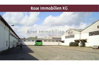 Büro zu mieten in Handelshof, 15328 Küstriner Vorland, ROSE IMMOBILIEN KG: Lagerhalle zu vermieten!