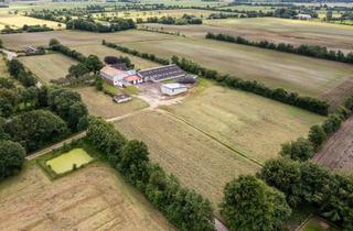 Immobilie kaufen in Loftlund, 24969 Großenwiehe, Resthof mit diversen Nebengebäuden in Großenwiehe