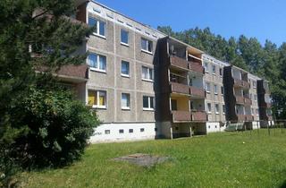 Wohnung mieten in Dorfstrasse 41 A-C 41 a-c, 18569 Neuenkirchen, Helle 4 Zimmer Wohnung mit Wannenbad und Balkon