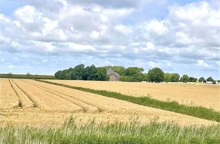 Haus kaufen in 25870 Norderfriedrichskoog, Rarität auf Eiderstedt Haubarg | Rohbau | + Altenteil