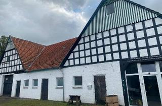 Bauernhaus kaufen in 32312 Lübbecke, Lübbecke - BauernhausResthof mit Potential zu verkaufen