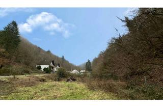 Grundstück zu kaufen in 56858 Neef, Voll erschlossen - Grundstück in idyllischem Seitental der Mosel gelegen