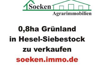 Gewerbeimmobilie kaufen in 26835 Hesel, Grünland in Hesel zu verkaufen *HF2413*