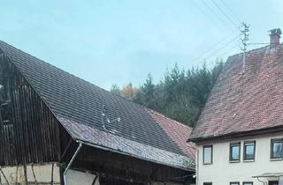 Bauernhaus kaufen in 74746 Höpfingen, Höpfingen - 1000qm Hanggrundstück mit Scheune, Stall und Wohnhaus