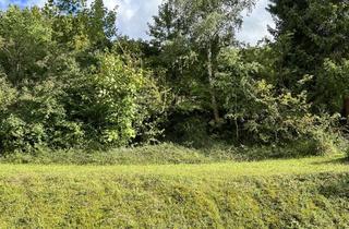 Wohnung mieten in 53498 Bad Breisig, Dachgeschosswohnung mit Ausblick ins Grüne!